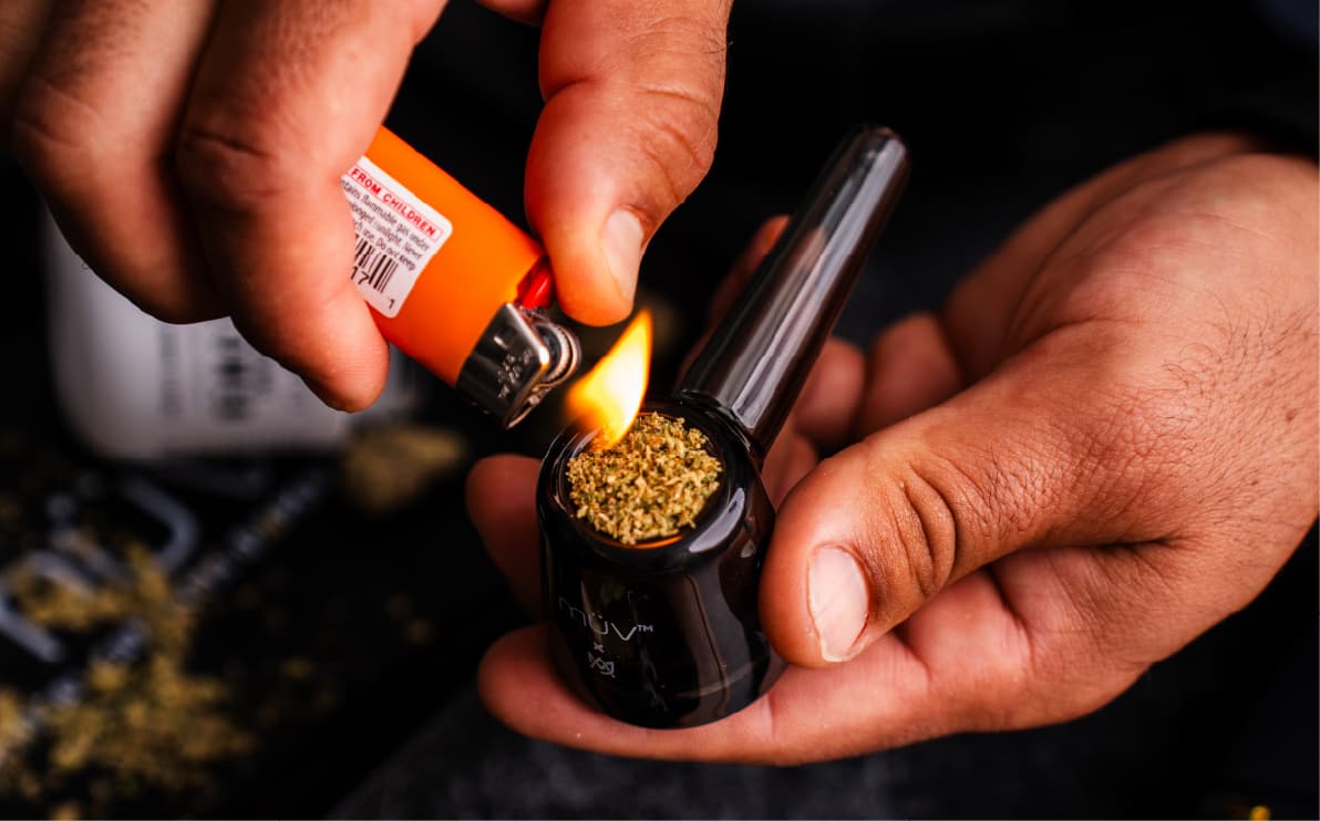 Learn about cannabis
